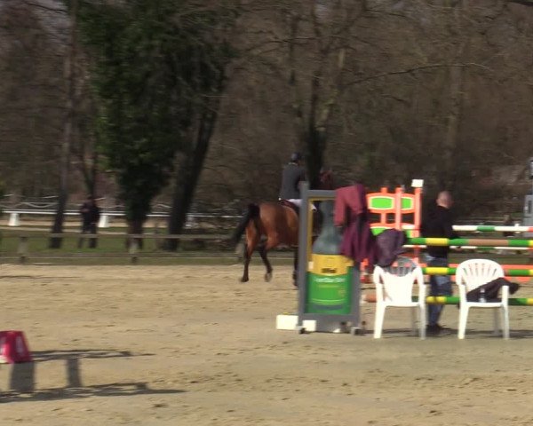 Münster-Handorf | Late Entries Frühlingserwachen 2022