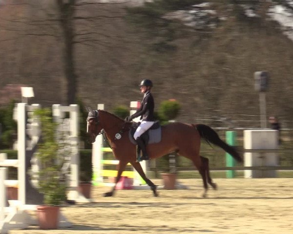 Münster-Handorf | Late Entries Frühlingserwachen 2022