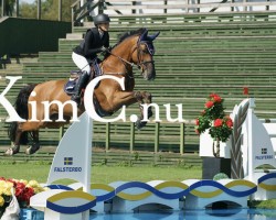 Springpferd Grandios O (KWPN (Niederländisches Warmblut), 2011, von Eldorado van de Zeshoek)