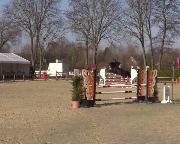 Münster-Handorf | Late Entries Frühlingserwachen 2022