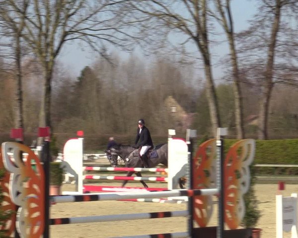 Münster-Handorf | Late Entries Frühlingserwachen 2022