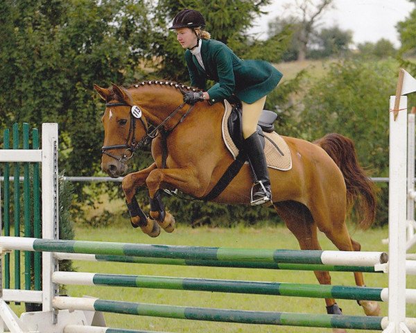 dressage horse Final Destination (Hessian Warmblood, 1996, from Fuego)