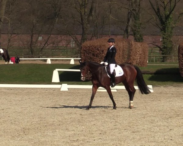 Münster-Handorf | Late Entries Frühlingserwachen 2022