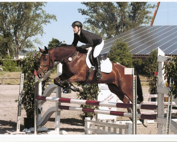 horse Casscina (Holsteiner, 2007, from Con Air)