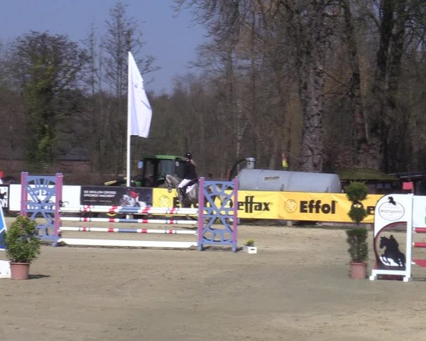 Münster-Handorf | Late Entries Frühlingserwachen 2022