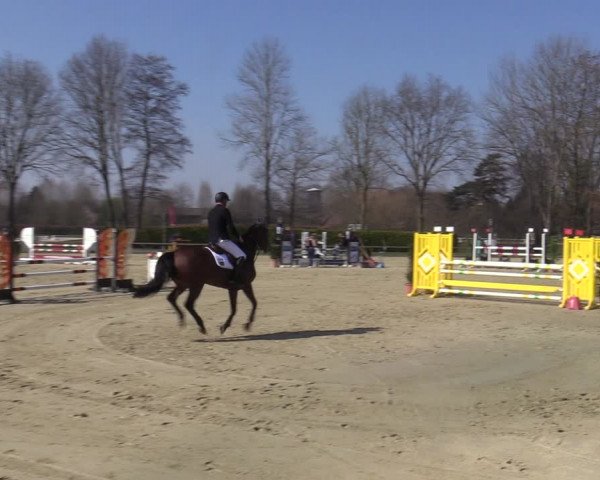 Münster-Handorf | Late Entries Frühlingserwachen 2022