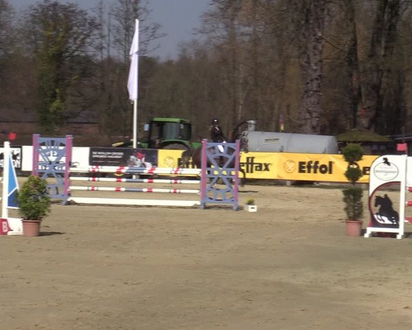 Münster-Handorf | Late Entries Frühlingserwachen 2022