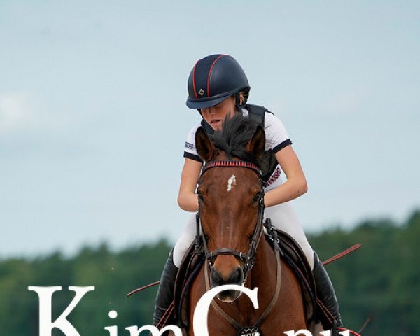 jumper Miss Hope (Swedish Warmblood, 2008)