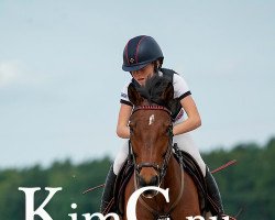 Springpferd Miss Hope (Schwedisches Warmblut, 2008)