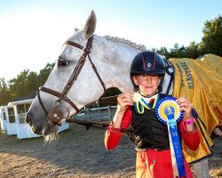 jumper United Z (Zangersheide riding horse, 2011, from Ugano Sitte)