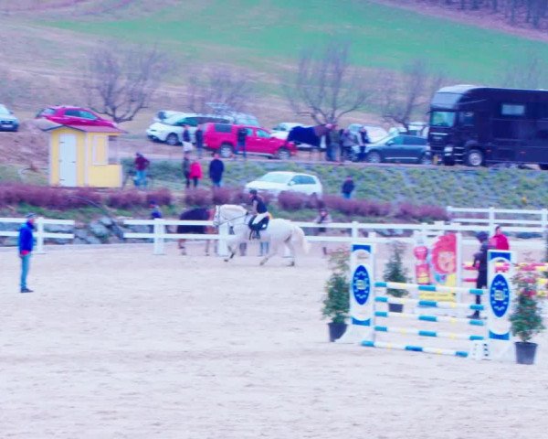 Reitturnier K, St. Margarethen-Stückler 2022