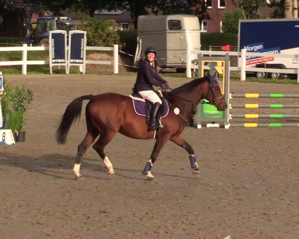 Springturnier Mildstedt 2021