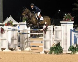 jumper Sancha Ls (Mexican Riding Horse, 2003, from Chin Chin)