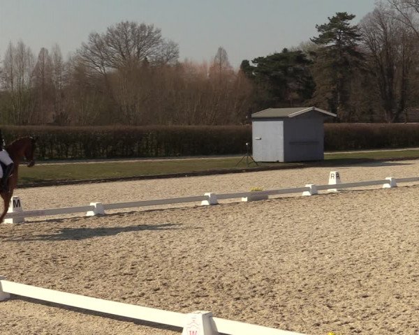Münster-Handorf | Late Entries Frühlingserwachen 2022
