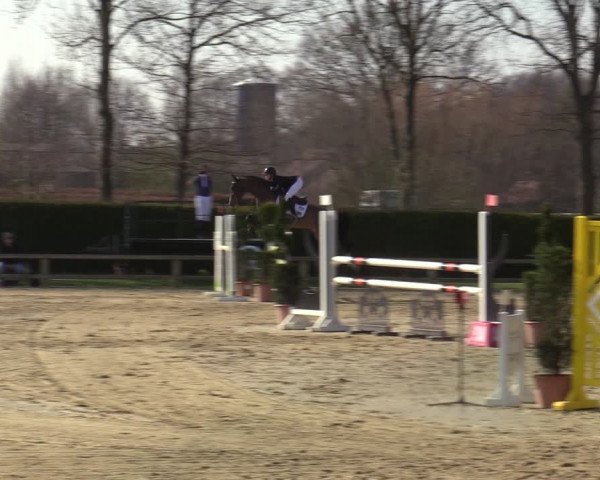 Münster-Handorf | Late Entries Frühlingserwachen 2022