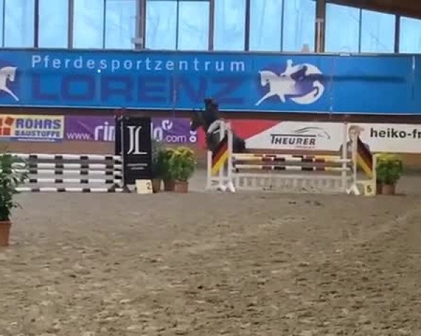 Video von Cavtator