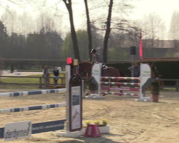 Münster-Handorf | Late Entries Frühlingserwachen 2022