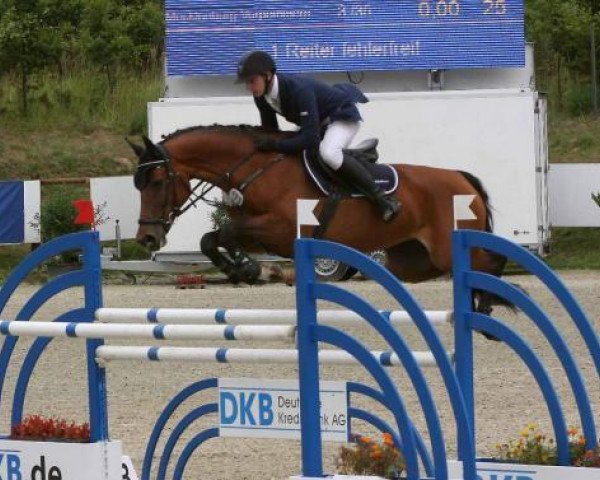 broodmare Le Sweet (Brandenburg, 2002, from Levisto Z)