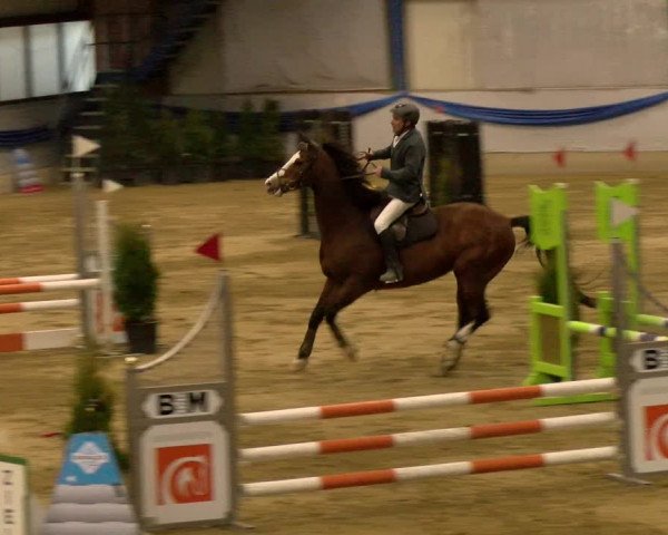 Reitturnier Buchs 2022
