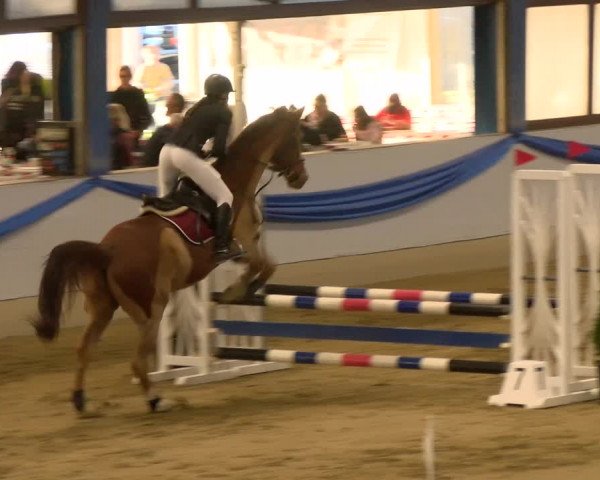 Reitturnier Buchs 2022
