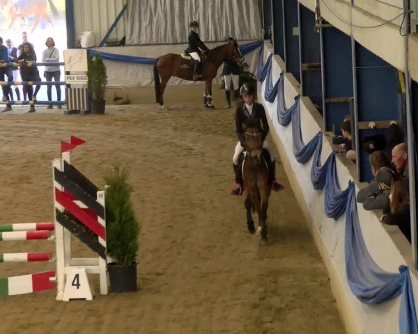 Reitturnier Buchs 2022