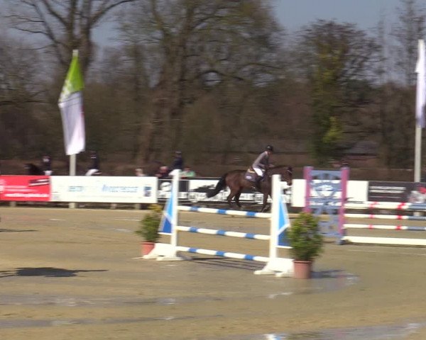 Münster-Handorf | Late Entries Frühlingserwachen 2022