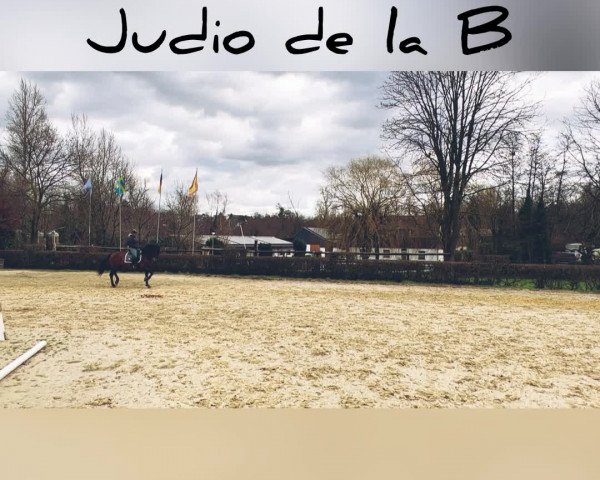Video von Judio de la B