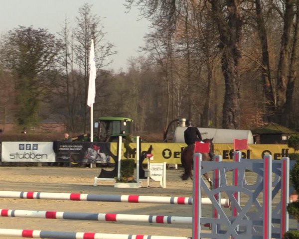 Münster-Handorf | Late Entries Frühlingserwachen 2022