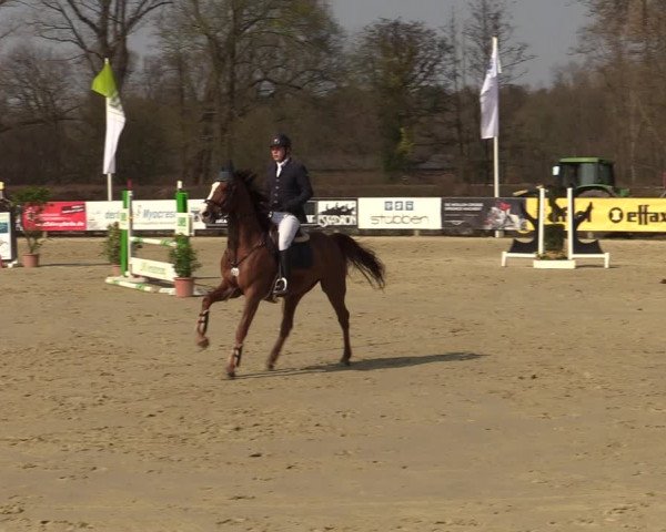 Münster-Handorf | Late Entries Frühlingserwachen 2022