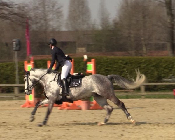 Münster-Handorf | Late Entries Frühlingserwachen 2022