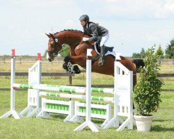 Fattrice Scarry (Cavallo Sportivo Tedesco, 2005, di Carry Gold)