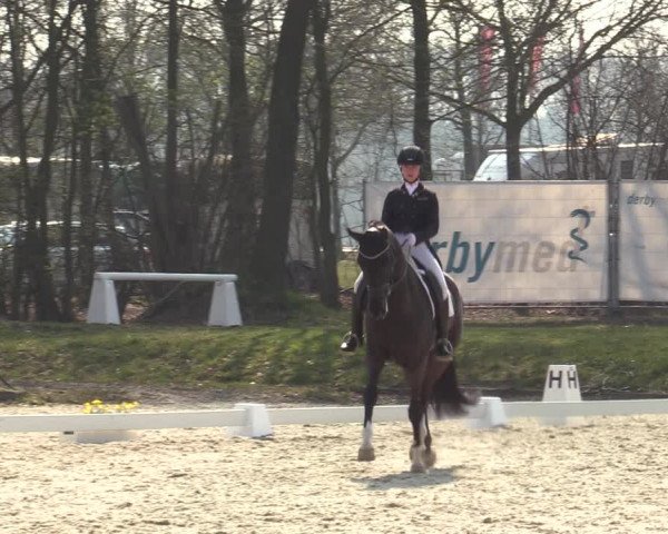 Münster-Handorf | Late Entries Frühlingserwachen 2022