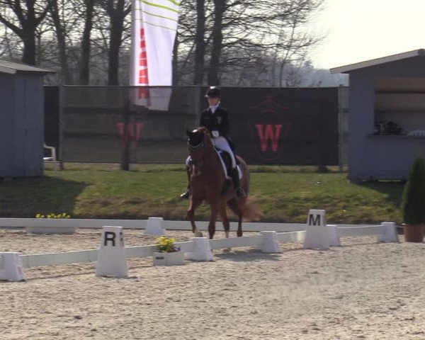 Münster-Handorf | Late Entries Frühlingserwachen 2022