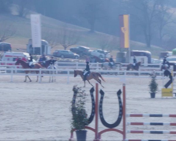 Reitturnier K, St. Margarethen-Stückler 2022