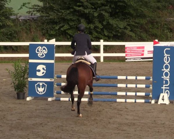 Springturnier Mildstedt 2021
