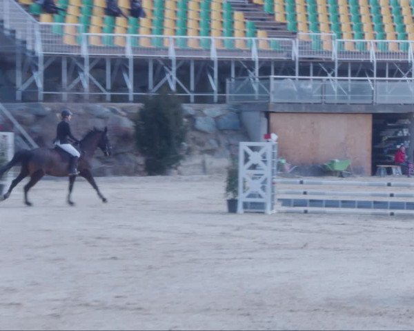Reitturnier K, St. Margarethen-Stückler 2022