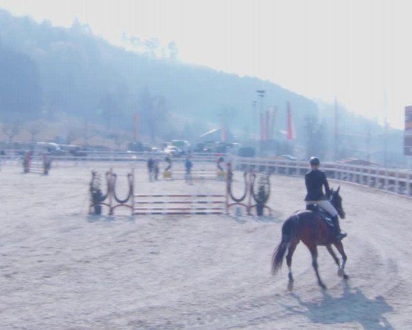 Reitturnier K, St. Margarethen-Stückler 2022