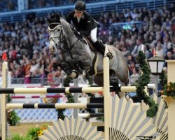 Zuchtstute Hello Winner (KWPN (Niederländisches Warmblut), 2003, von Stradbally Blue)