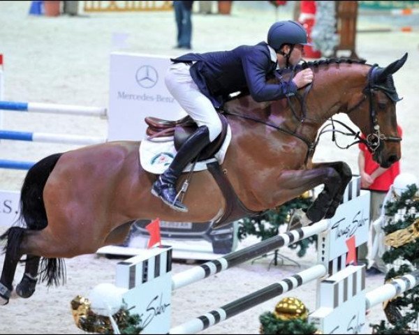 jumper Dejavu (Belgian Warmblood, 2004, from Heartbreaker)