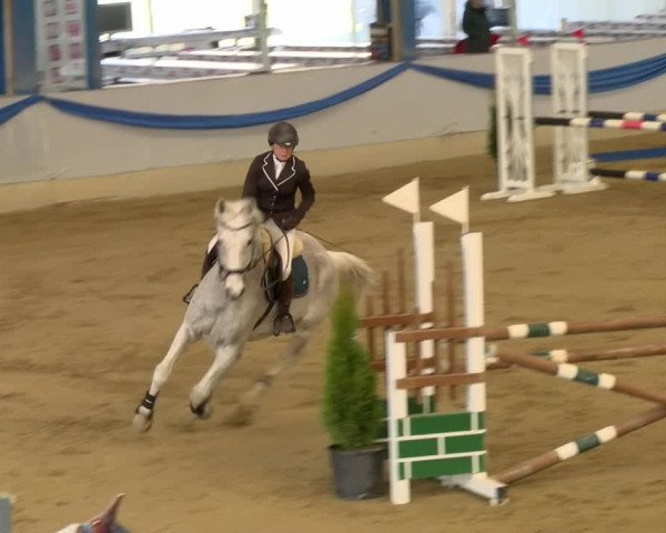 Reitturnier Buchs 2022