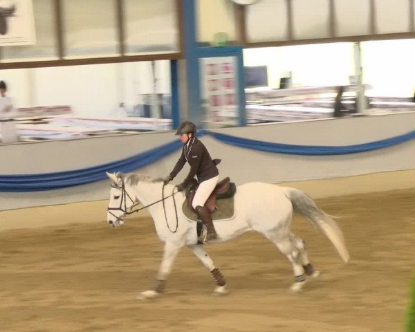 Reitturnier Buchs 2022