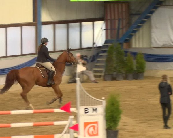 Reitturnier Buchs 2022