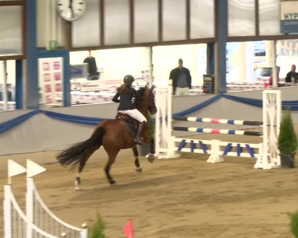 Reitturnier Buchs 2022