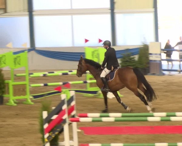 Reitturnier Buchs 2022