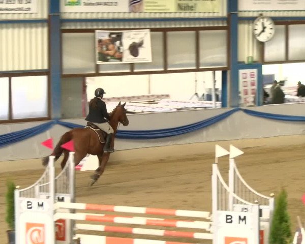 Reitturnier Buchs 2022
