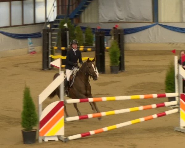 Reitturnier Buchs 2022