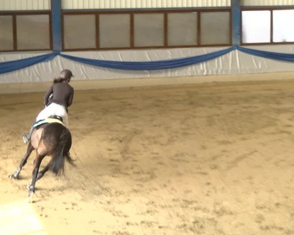 Reitturnier Buchs 2022
