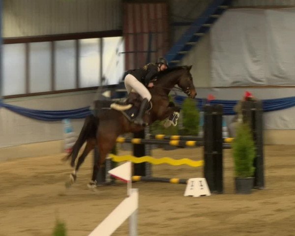 Reitturnier Buchs 2022