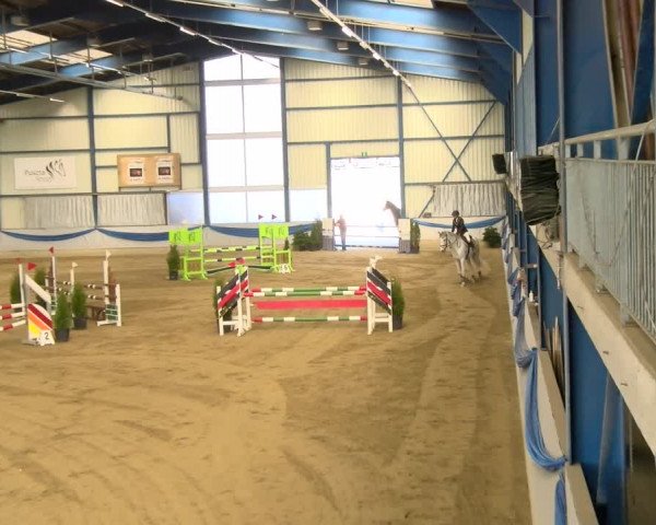 Reitturnier Buchs 2022
