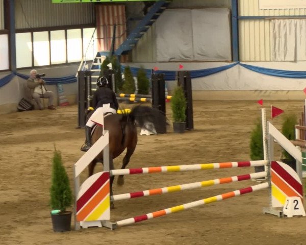 Reitturnier Buchs 2022